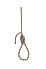 realistic 3d render of rope