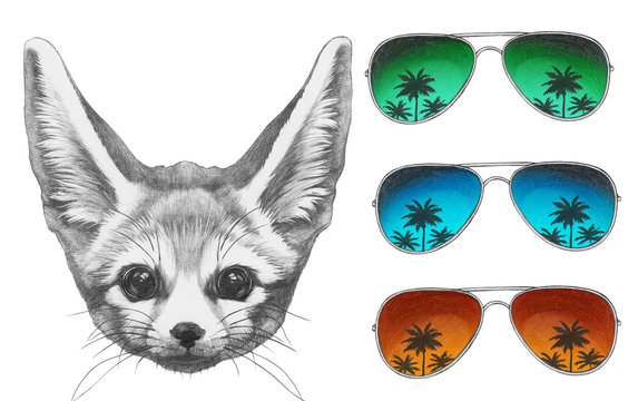 Original drawing of Fennec Fox with mirror sunglasses. Isolated on white background