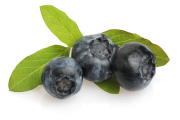 Blueberries isolated on white background