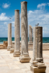 Fototapeta premium ancient corinthian columns on a background of the blue sky. Caesarea park. Israel
