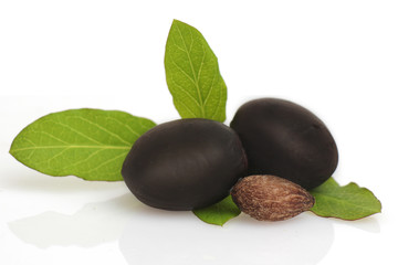 Olives on white Background