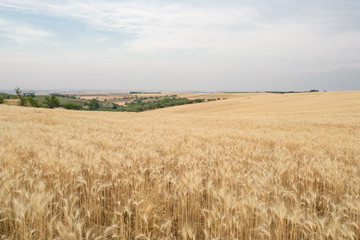Apulia