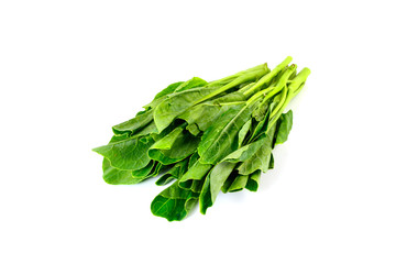 fresh chinese kale vegetables isolated on white