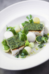grilled fish with herb crust and boiled vegetables in cream sauc