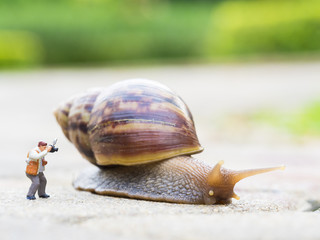 toy charactor in using camera action