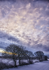 Obraz na płótnie Canvas Winter Dawn