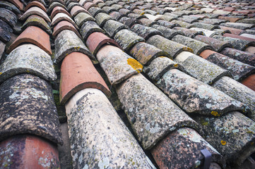 Grungy roof tiles