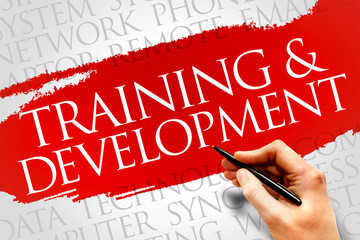 Training and Development word cloud concept