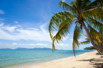 Tropical island beach