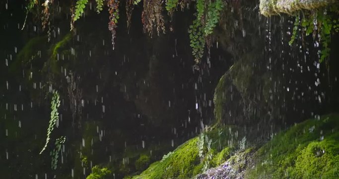 Close up rain drops falling tranquil loop-able nature background