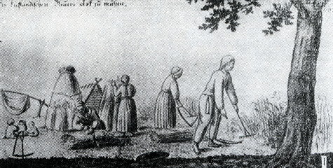 Harvesting (18. century)