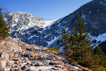 Mountain snowy landscape with rock path