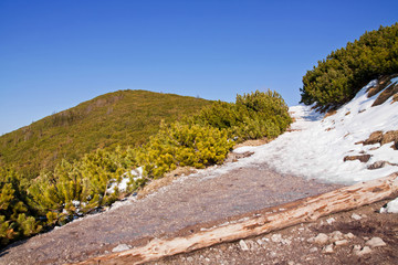 Fototapeta na wymiar Mountain snowy landscape with rock path