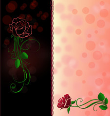 Floral background  with red roses .