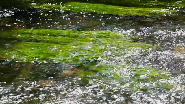 HD 1080 flowing fresh water at mountain spring