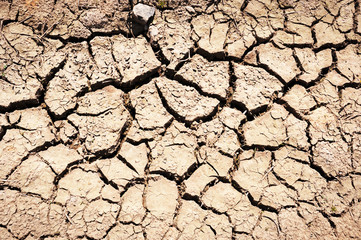 Dry cracked earth