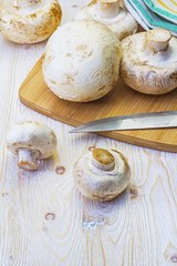 Mushrooms and knife