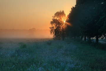 Wschód słońca, pola, drzewa © Stanisław Błachowicz