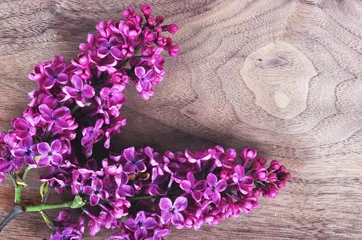Crédence de cuisine en verre imprimé Lilas Fleurs lilas violettes et blanches
