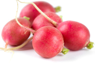 Fresh red radishes