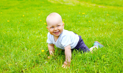 Cute smiling baby crawls on the grass and having fun in summer d