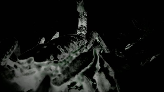 Scary and creepy video of running scorpions at night. Horror and evil movie montage for Halloween or other thriller video style usage