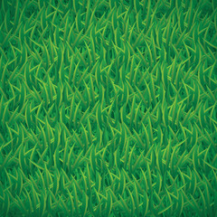 Green grass background