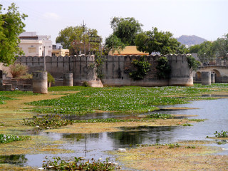 Fototapeta na wymiar Lac d'Udaipur