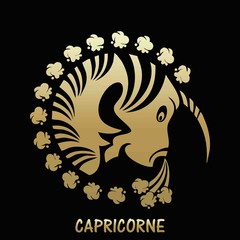 Capricorne