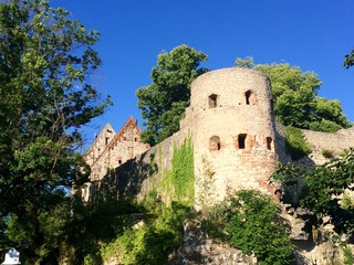 Burg Pappenheim