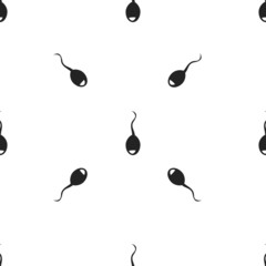 Fototapeta premium Sperm icon