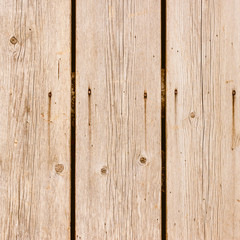 Fototapeta premium The old wood texture with natural patterns