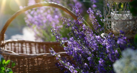 Fototapeta premium kwitnące kwiaty w pobliżu domu w Prowansji