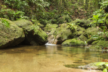 River flowing through the rocks, Atlantic Forest, Camburi Beach, Brazil.