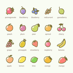Set of Fruits and Berries icons
