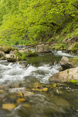 Fototapeta premium Whitewater River In Spring