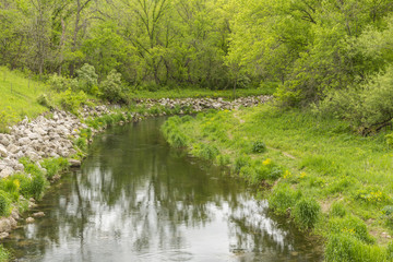 Fototapeta na wymiar River In The Woods