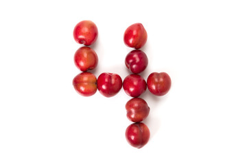 Obraz premium プラム