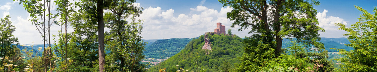 Fototapete bei efototapeten.de bestellen   