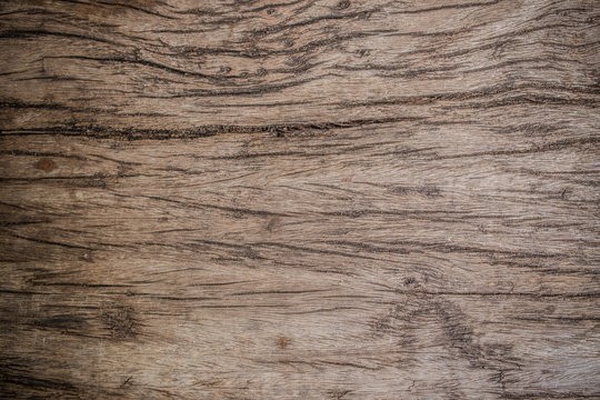 wood texture. background