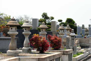 Fototapeta na wymiar Cemetery-11