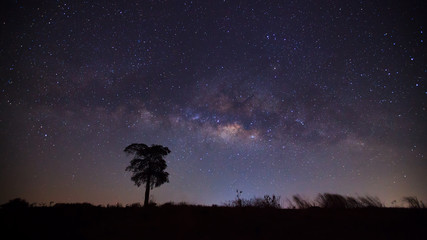 Fototapeta na wymiar Silhouette of tree and beautiful milkyway on a night sky. Long e
