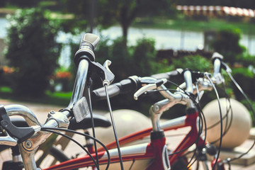 Obraz premium Bike rental