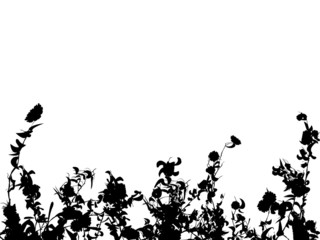 Flowers, leaves and grass