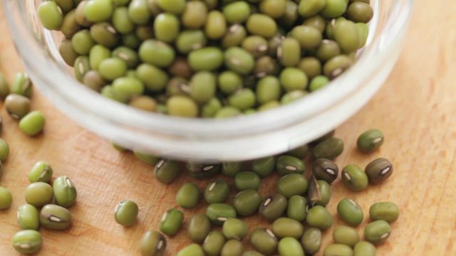 HD 1080 video: mung bean  seed on rotating stand; closeup