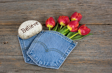 red tulips in blue jean pocket with rock