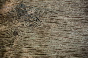 wood texture. background