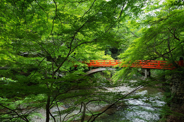 赤い橋 - 指月橋 -