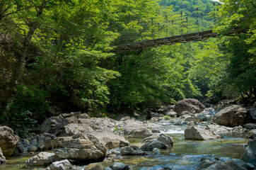 大台ケ原 - 吊り橋 -