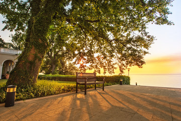 Park bench under a tree at sunrise.